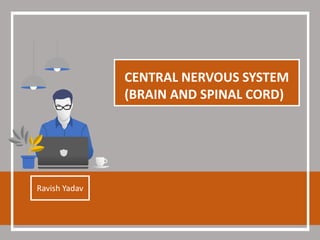 CENTRAL NERVOUS SYSTEM
(BRAIN AND SPINAL CORD)
Ravish Yadav
 