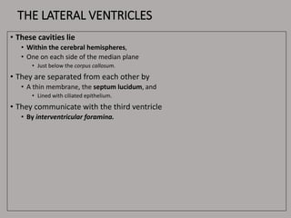 THE LATERAL VENTRICLES
• These cavities lie
• Within the cerebral hemispheres,
• One on each side of the median plane
• Just below the corpus callosum.
• They are separated from each other by
• A thin membrane, the septum lucidum, and
• Lined with ciliated epithelium.
• They communicate with the third ventricle
• By interventricular foramina.
 