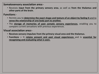 Somatosensory association area:-
• Receives input from the primary sensory area, as well as from the thalamus and
other parts of the brain.
Functions:-
• Permits you to determine the exact shape and texture of an object by feeling it and to
sense the relationship of one body part to another.
• The storage of memories of past somatic sensory experiences, enabling you to
compare current sensations with previous experiences.
Visual association area:-
• Receives sensory impulses from the primary visual area and the thalamus.
• Functions :- It relates present and past visual experiences and is essential for
recognizing and evaluating what is seen.
 
