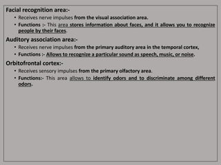 Facial recognition area:-
• Receives nerve impulses from the visual association area.
• Functions :- This area stores information about faces, and it allows you to recognize
people by their faces.
Auditory association area:-
• Receives nerve impulses from the primary auditory area in the temporal cortex,
• Functions :- Allows to recognize a particular sound as speech, music, or noise.
Orbitofrontal cortex:-
• Receives sensory impulses from the primary olfactory area.
• Functions:- This area allows to identify odors and to discriminate among different
odors.
 