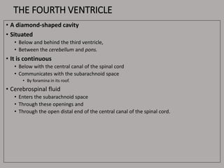 THE FOURTH VENTRICLE
• A diamond-shaped cavity
• Situated
• Below and behind the third ventricle,
• Between the cerebellum and pons.
• It is continuous
• Below with the central canal of the spinal cord
• Communicates with the subarachnoid space
• By foramina in its roof.
• Cerebrospinal fluid
• Enters the subarachnoid space
• Through these openings and
• Through the open distal end of the central canal of the spinal cord.
 