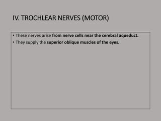 IV. TROCHLEAR NERVES (MOTOR)
• These nerves arise from nerve cells near the cerebral aqueduct.
• They supply the superior oblique muscles of the eyes.
 