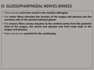 IX. GLOSSOPHARYNGEAL NERVES (MIXED)
• These nerves arise from nuclei in the medulla oblongata.
• The motor fibres stimulate the muscles of the tongue and pharynx and the
secretory cells of the parotid (salivary) glands.
• The sensory fibres convey impulses to the cerebral cortex from the posterior
third of the tongue, the tonsils and pharynx and from taste buds in the
tongue and pharynx.
• These nerves are essential for the swallowing.
 