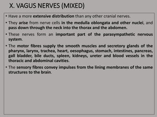 X. VAGUS NERVES (MIXED)
• Have a more extensive distribution than any other cranial nerves.
• They arise from nerve cells in the medulla oblongata and other nuclei, and
pass down through the neck into the thorax and the abdomen.
• These nerves form an important part of the parasympathetic nervous
system.
• The motor fibres supply the smooth muscles and secretory glands of the
pharynx, larynx, trachea, heart, oesophagus, stomach, intestines, pancreas,
gall bladder, bile ducts, spleen, kidneys, ureter and blood vessels in the
thoracic and abdominal cavities.
• The sensory fibres convey impulses from the lining membranes of the same
structures to the brain.
 