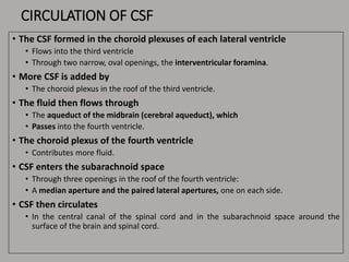 CIRCULATION OF CSF
• The CSF formed in the choroid plexuses of each lateral ventricle
• Flows into the third ventricle
• Through two narrow, oval openings, the interventricular foramina.
• More CSF is added by
• The choroid plexus in the roof of the third ventricle.
• The fluid then flows through
• The aqueduct of the midbrain (cerebral aqueduct), which
• Passes into the fourth ventricle.
• The choroid plexus of the fourth ventricle
• Contributes more fluid.
• CSF enters the subarachnoid space
• Through three openings in the roof of the fourth ventricle:
• A median aperture and the paired lateral apertures, one on each side.
• CSF then circulates
• In the central canal of the spinal cord and in the subarachnoid space around the
surface of the brain and spinal cord.
 