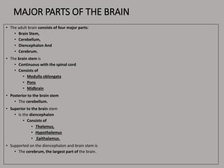 MAJOR PARTS OF THE BRAIN
• The adult brain consists of four major parts:
• Brain Stem,
• Cerebellum,
• Diencephalon And
• Cerebrum.
• The brain stem is
• Continuous with the spinal cord
• Consists of
• Medulla oblongata
• Pons
• Midbrain
• Posterior to the brain stem
• The cerebellum.
• Superior to the brain stem
• Is the diencephalon
• Consists of
• Thalamus,
• Hypothalamus
• Epithalamus.
• Supported on the diencephalon and brain stem is
• The cerebrum, the largest part of the brain.
 