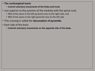 • The corticospinal tracts
• Control voluntary movements of the limbs and trunk.
• Just superior to the junction of the medulla with the spinal cord,
• 90% of the axons in the left pyramid cross to the right side, and
• 90% of the axons in the right pyramid cross to the left side.
• This crossing is called the decussation of pyramids.
• Each side of the brain
• Controls voluntary movements on the opposite side of the body.
 