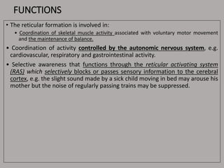 FUNCTIONS
• The reticular formation is involved in:
• Coordination of skeletal muscle activity associated with voluntary motor movement
and the maintenance of balance.
• Coordination of activity controlled by the autonomic nervous system, e.g.
cardiovascular, respiratory and gastrointestinal activity.
• Selective awareness that functions through the reticular activating system
(RAS) which selectively blocks or passes sensory information to the cerebral
cortex, e.g. the slight sound made by a sick child moving in bed may arouse his
mother but the noise of regularly passing trains may be suppressed.
 