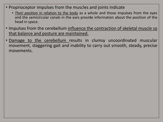 • Proprioceptor impulses from the muscles and joints indicate
• Their position in relation to the body as a whole and those impulses from the eyes
and the semicircular canals in the ears provide information about the position of the
head in space.
• Impulses from the cerebellum influence the contraction of skeletal muscle so
that balance and posture are maintained.
• Damage to the cerebellum results in clumsy uncoordinated muscular
movement, staggering gait and inability to carry out smooth, steady, precise
movements.
 