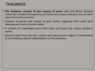 THALAMUS
• The thalamus consists of two masses of nerve cells and fibres situated
within the cerebral hemispheres just below the corpus callosum, one on each
side of the third ventricle.
• Consists of paired oval masses of gray matter organized into nuclei with
interspersed tracts of white matter.
• It consists of myelinated axons that enter and leave the various thalamic
nuclei.
• Sensory input from the skin, viscera and special sense organs is transmitted
to the thalamus before redistribution to the cerebrum.
 