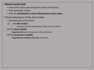 • Blood vessels that
• Enter brain tissue pass along the surface of the brain,
• They penetrate inward,
• They are sheathed by a loose-fitting sleeve of pia mater.
• Three extensions of the dura mater
• Separate parts of the brain.
(1) The falx cerebri
• Separates the two hemispheres (sides) of the cerebrum.
(2) The falx cerebelli
• Separates the two hemispheres of the cerebellum.
(3) The tentorium cerebelli
• Separates the cerebrum from the cerebellum.
 