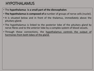 HYPOTHALAMUS
• The hypothalamus is a small part of the diencephalon.
• The hypothalamus is composed of a number of groups of nerve cells (nuclei).
• It is situated below and in front of the thalamus, immediately above the
pituitary gland.
• The hypothalamus is linked to the posterior lobe of the pituitary gland by
nerve fibres and to the anterior lobe by a complex system of blood vessels.
• Through these connections, the hypothalamus controls the output of
hormones from both lobes of the gland.
 