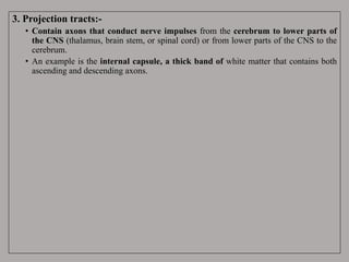 3. Projection tracts:-
• Contain axons that conduct nerve impulses from the cerebrum to lower parts of
the CNS (thalamus, brain stem, or spinal cord) or from lower parts of the CNS to the
cerebrum.
• An example is the internal capsule, a thick band of white matter that contains both
ascending and descending axons.
 