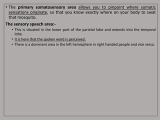 • The primary somatosensory area allows you to pinpoint where somatic
sensations originate, so that you know exactly where on your body to swat
that mosquito.
The sensory speech area:-
• This is situated in the lower part of the parietal lobe and extends into the temporal
lobe.
• It is here that the spoken word is perceived.
• There is a dominant area in the left hemisphere in right handed people and vice versa.
 