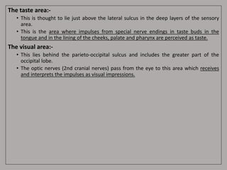The taste area:-
• This is thought to lie just above the lateral sulcus in the deep layers of the sensory
area.
• This is the area where impulses from special nerve endings in taste buds in the
tongue and in the lining of the cheeks, palate and pharynx are perceived as taste.
The visual area:-
• This lies behind the parieto-occipital sulcus and includes the greater part of the
occipital lobe.
• The optic nerves (2nd cranial nerves) pass from the eye to this area which receives
and interprets the impulses as visual impressions.
 