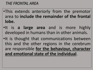 THE FRONTAL AREA
•This extends anteriorly from the premotor
area to include the remainder of the frontal
lobe.
•It is a large area and is more highly
developed in humans than in other animals.
•It is thought that communications between
this and the other regions in the cerebrum
are responsible for the behaviour, character
and emotional state of the individual.
 