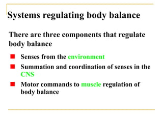 Systems regulating body balance ,[object Object],[object Object],[object Object],There are three components that regulate body balance 
