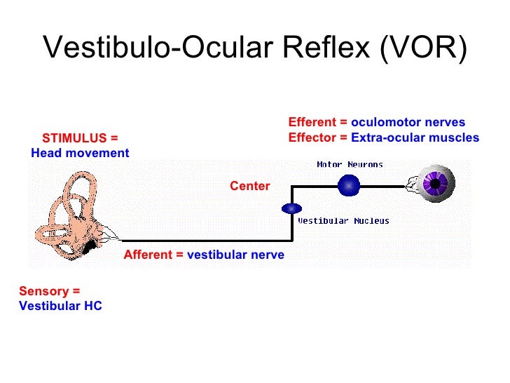 Vestibulo ocular reflex in major depression