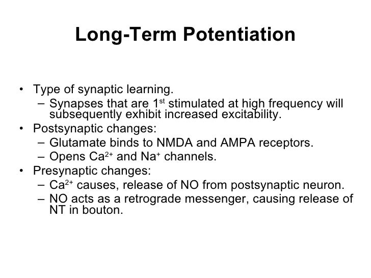 Long Term Potentiation Definition Psychology Example - slidesharetrick