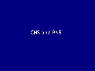 CNS and PNS  