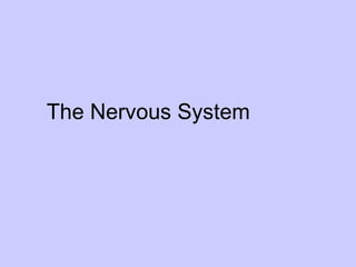 The Nervous System  