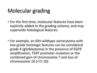 Molecular grading
• For the first time, molecular features have been
explicitly added to the grading schema, and may
supersede histological features.
• For example, an IDH-wildtype astrocytoma with
low-grade histologic features can be considered
grade 4 (glioblastoma) in the presence of EGFR
amplification, TERT promoter mutation or the
combined gain of chromosome 7 and loss of
chromosome 10 [+7/-10]
 