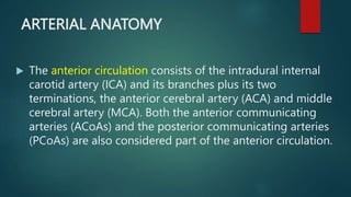 ARTERIAL ANATOMY
 The anterior circulation consists of the intradural internal
carotid artery (ICA) and its branches plus...
