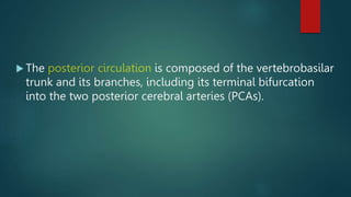  The is composed of the vertebrobasilar
trunk and its branches, including its terminal bifurcation
into the two posterior...
