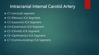 Intracranial Internal Carotid Artery
 C1 (cervical) segment
 C2 (Petrous) ICA Segment.
 C3 (Lacerum) ICA Segment
 C4 (...
