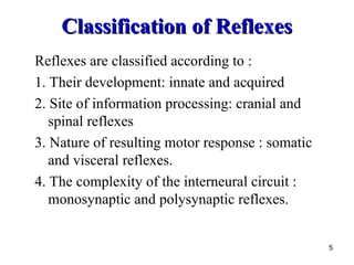 Comprehensive Overview of Human Reflexes and Reflex Arcs in the Nervous ...