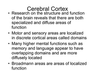 Cerebral Cortex ,[object Object],[object Object],[object Object],[object Object]