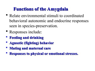 Comprehensive Overview of the Limbic System: Structure, Functions, and ...