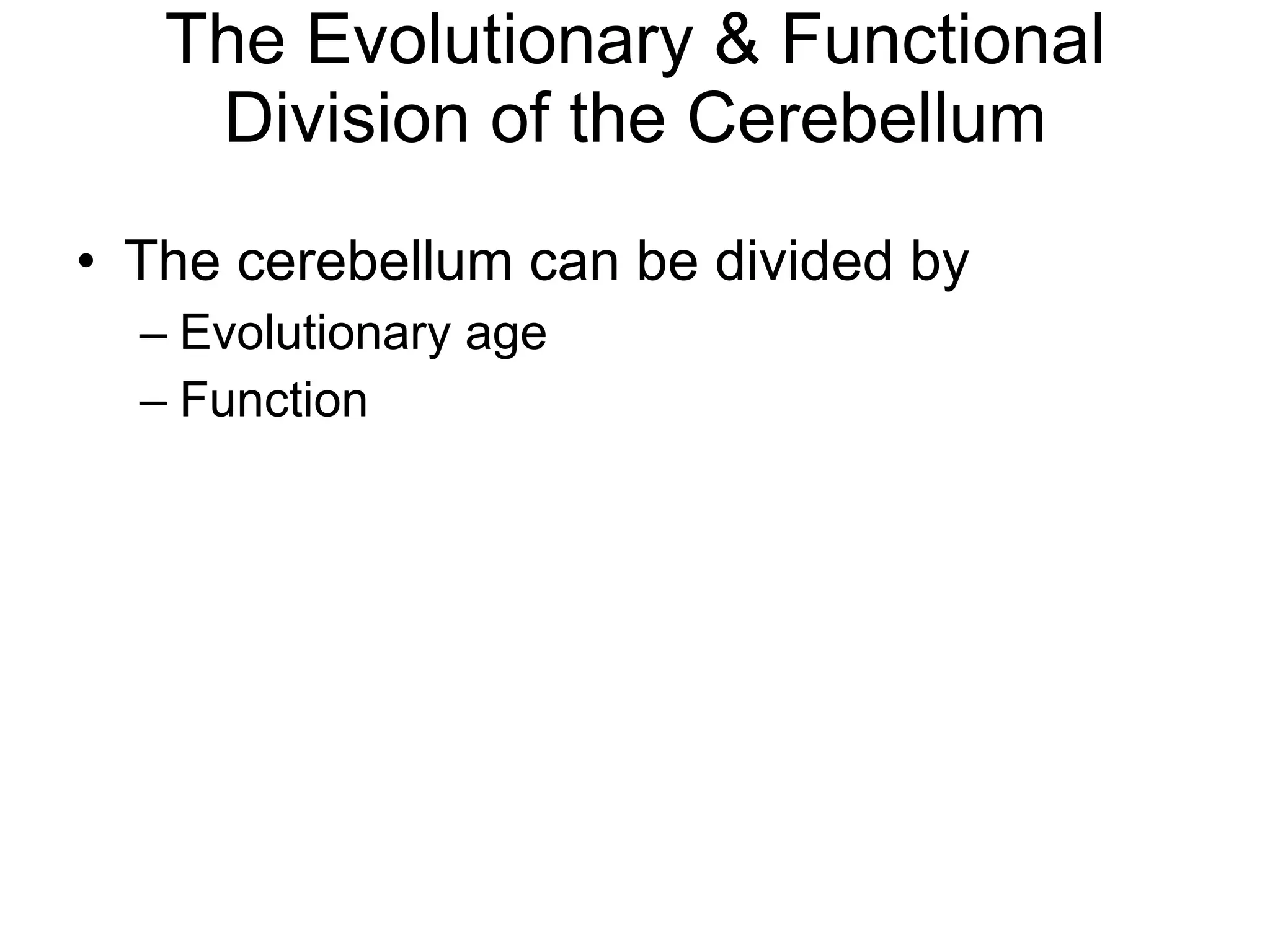 The Evolutionary & Functional Division of the Cerebellum The cerebellum can be divided by  Evolutionary age  Function 