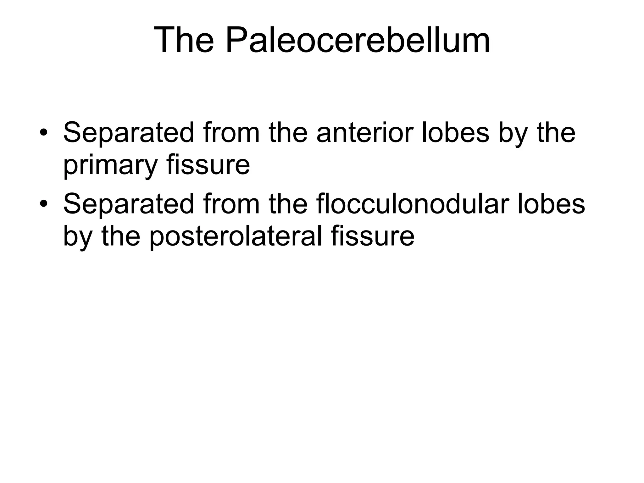 The Paleocerebellum Separated from the anterior lobes by the primary fissure Separated from the flocculonodular lobes by the posterolateral fissure  
