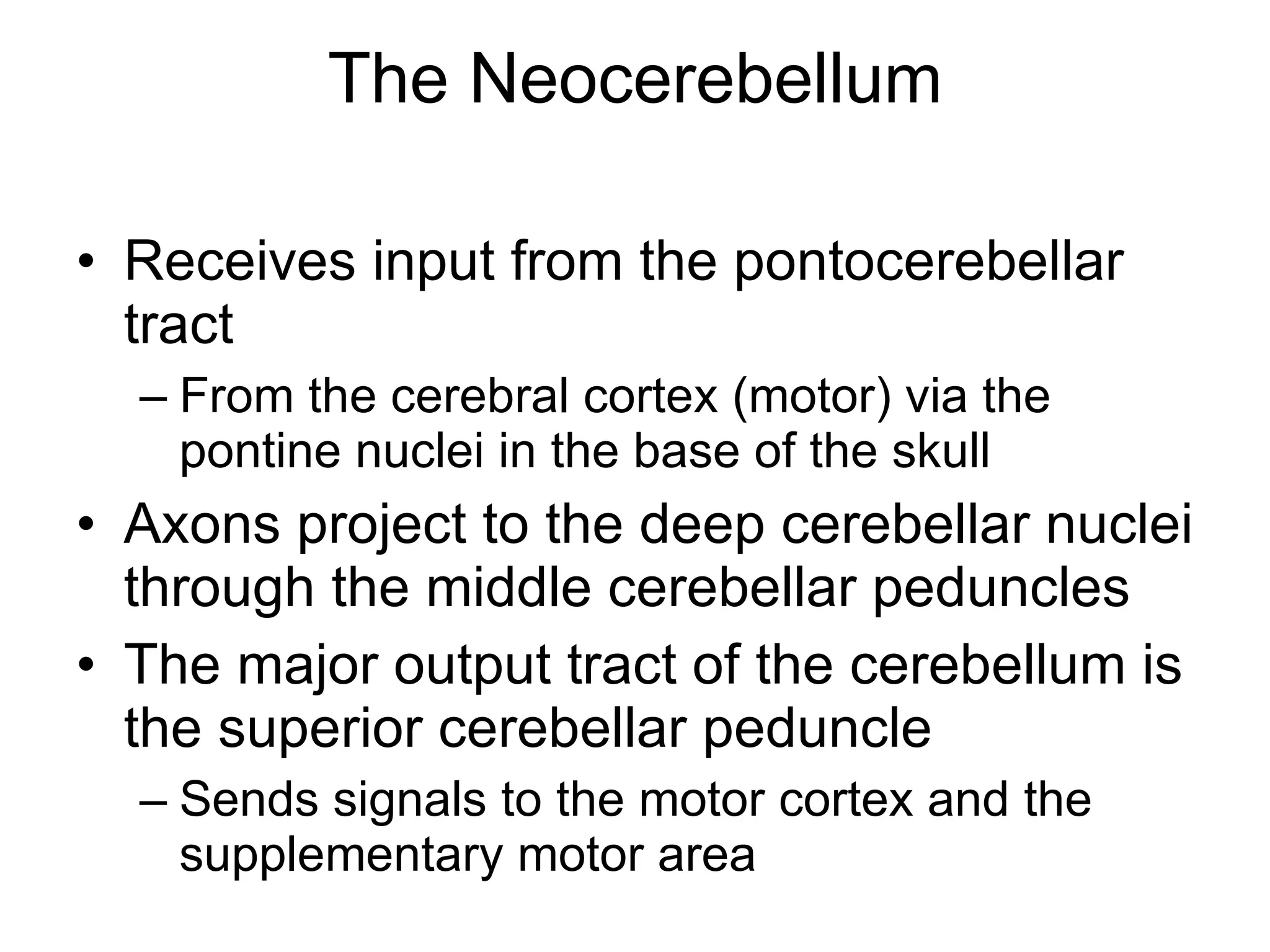 The Neocerebellum Receives input from the pontocerebellar tract From the cerebral cortex (motor) via the pontine nuclei in the base of the skull Axons project to the deep cerebellar nuclei through the middle cerebellar peduncles The major output tract of the cerebellum is the superior cerebellar peduncle  Sends signals to the motor cortex and the supplementary motor area  