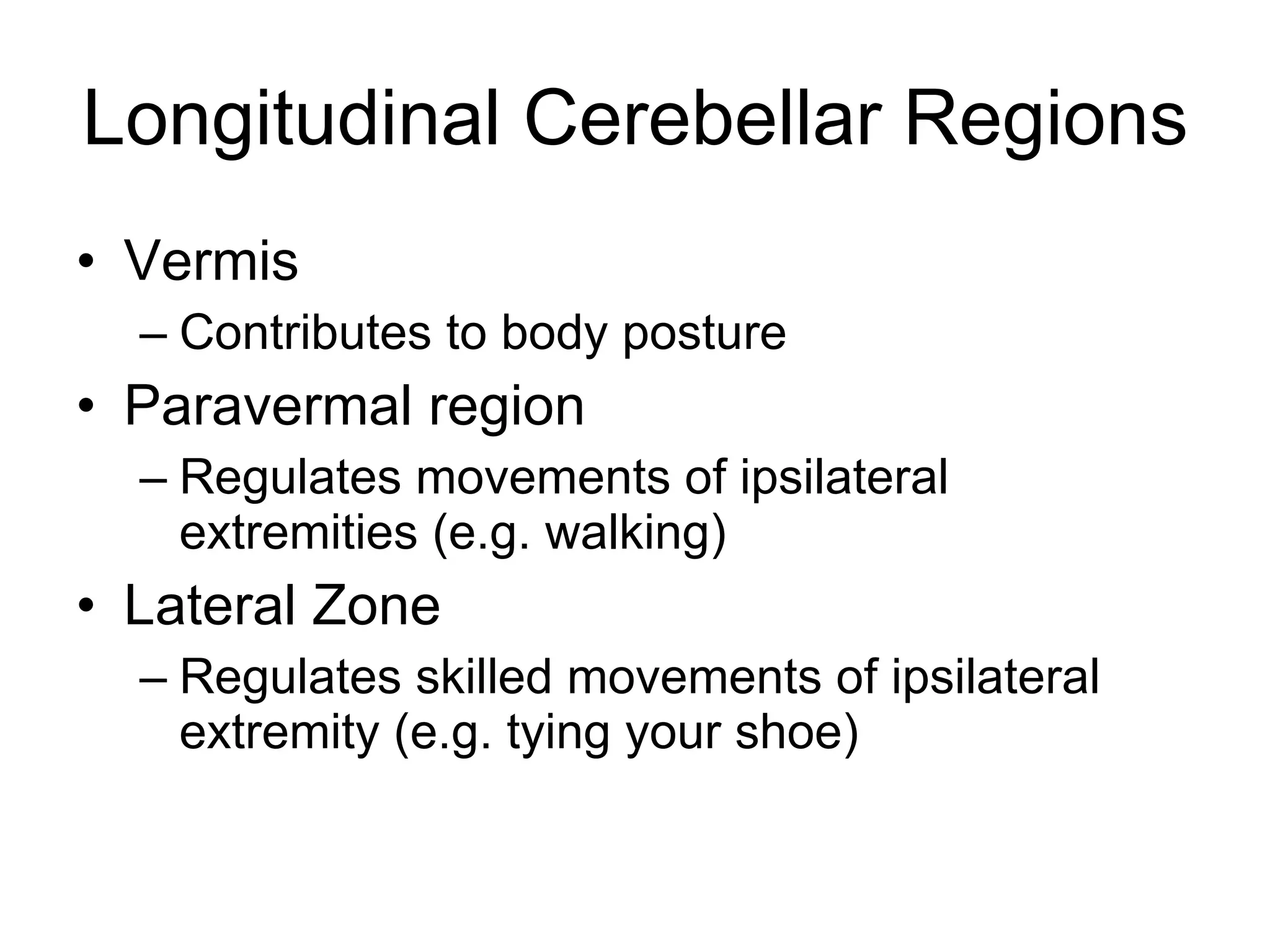 Longitudinal Cerebellar Regions Vermis Contributes to body posture  Paravermal region Regulates movements of ipsilateral extremities (e.g. walking)  Lateral Zone Regulates skilled movements of ipsilateral extremity (e.g. tying your shoe) 
