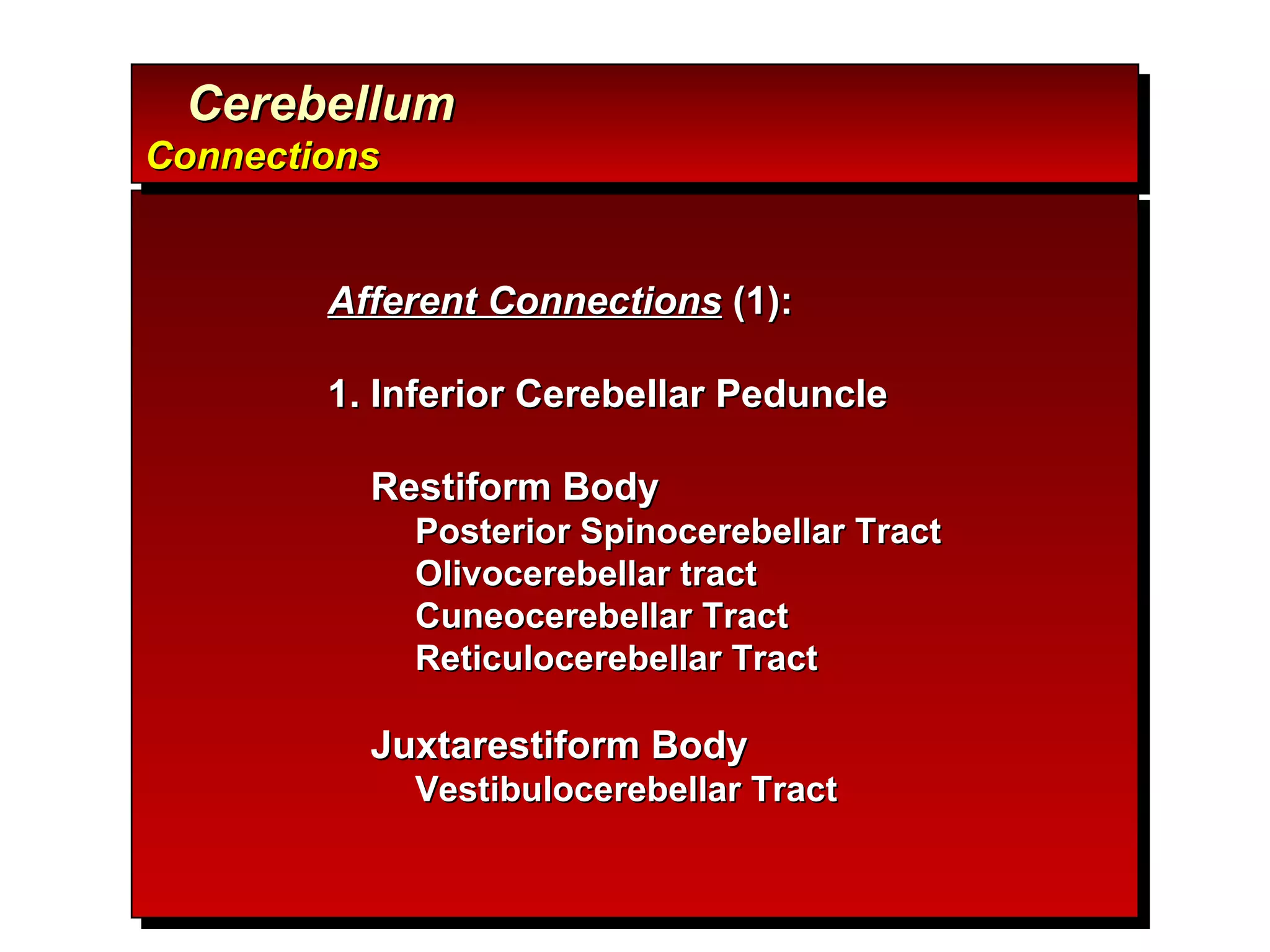Afferent Connections  (1): 1. Inferior Cerebellar Peduncle Restiform Body Posterior Spinocerebellar Tract Olivocerebellar tract Cuneocerebellar Tract Reticulocerebellar Tract Juxtarestiform Body Vestibulocerebellar Tract Cerebellum  Connections 