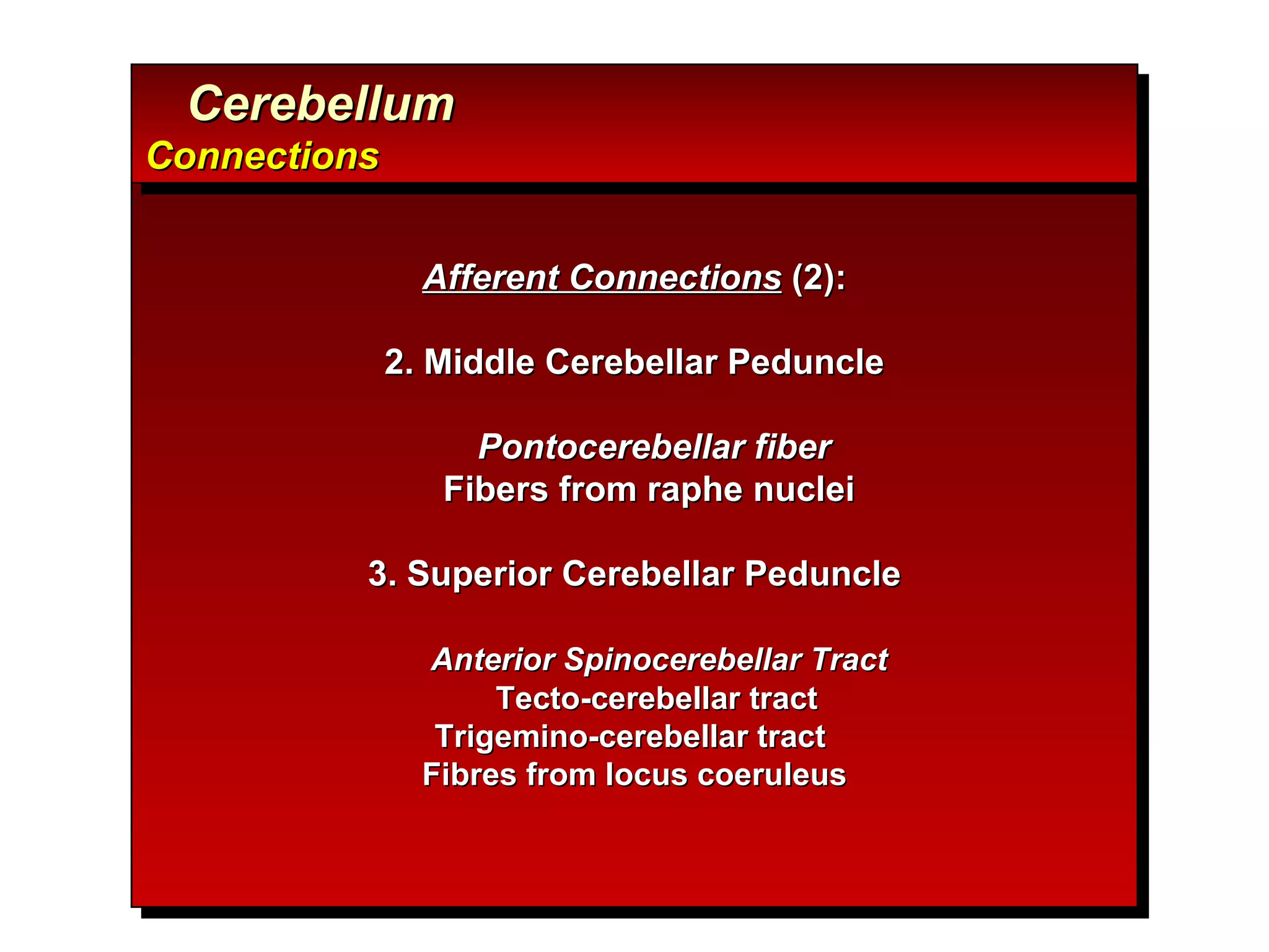 Afferent Connections  (2): 2. Middle Cerebellar Peduncle Pontocerebellar fiber Fibers from raphe nuclei  3. Superior Cerebellar Peduncle Anterior Spinocerebellar Tract Tecto-cerebellar tract  Trigemino-cerebellar tract  Fibres from locus coeruleus Cerebellum  Connections 