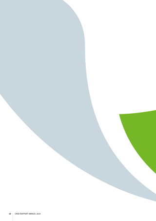 CNSA RAPPORT ANNUEL 201910
 