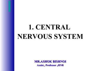 1. CENTRAL
NERVOUS SYSTEM
MR.ASHOK BISHNOIMR.ASHOK BISHNOI
Assist., Professor ,JINRAssist., Professor ,JINR
 
