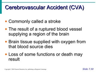 Cerebrovascular Accident (CVA)Cerebrovascular Accident (CVA)
Slide 7.50Copyright © 2003 Pearson Education, Inc. publishing as Benjamin Cummings
• Commonly called a stroke
• The result of a ruptured blood vessel
supplying a region of the brain
• Brain tissue supplied with oxygen from
that blood source dies
• Loss of some functions or death may
result
 