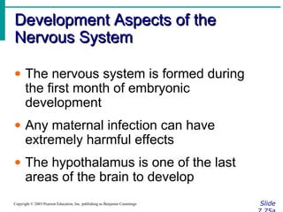 Development Aspects of theDevelopment Aspects of the
Nervous SystemNervous System
SlideCopyright © 2003 Pearson Education, Inc. publishing as Benjamin Cummings
• The nervous system is formed during
the first month of embryonic
development
• Any maternal infection can have
extremely harmful effects
• The hypothalamus is one of the last
areas of the brain to develop
 