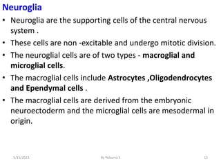 Neuroglia
• Neuroglia are the supporting cells of the central nervous
system .
• These cells are non -excitable and undergo mitotic division.
• The neuroglial cells are of two types - macroglial and
microglial cells.
• The macroglial cells include Astrocytes ,Oligodendrocytes
and Ependymal cells .
• The macroglial cells are derived from the embryonic
neuroectoderm and the microglial cells are mesodermal in
origin.
13
5/15/2023 By Rebuma S
 