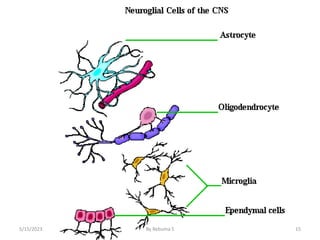 15
5/15/2023 By Rebuma S
 