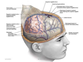 20
5/15/2023 By Rebuma S
 