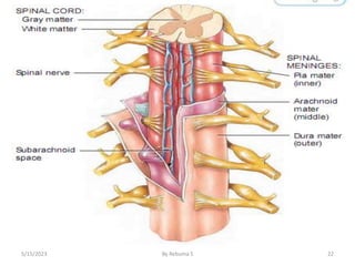 22
5/15/2023 By Rebuma S
 