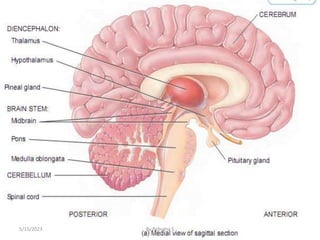 27
5/15/2023 By Rebuma S
 