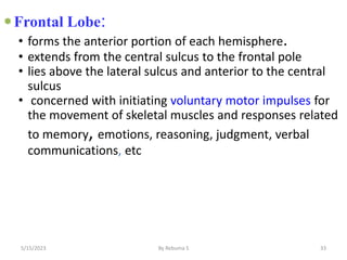 33
Frontal Lobe:
• forms the anterior portion of each hemisphere.
• extends from the central sulcus to the frontal pole
• lies above the lateral sulcus and anterior to the central
sulcus
• concerned with initiating voluntary motor impulses for
the movement of skeletal muscles and responses related
to memory, emotions, reasoning, judgment, verbal
communications, etc
5/15/2023 By Rebuma S
 