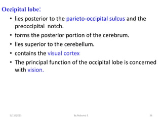 Occipital lobe:
• lies posterior to the parieto-occipital sulcus and the
preoccipital notch.
• forms the posterior portion of the cerebrum.
• lies superior to the cerebellum.
• contains the visual cortex
• The principal function of the occipital lobe is concerned
with vision.
36
5/15/2023 By Rebuma S
 
