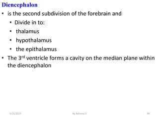 Diencephalon
• is the second subdivision of the forebrain and
• Divide in to:
• thalamus
• hypothalamus
• the epithalamus
• The 3rd ventricle forms a cavity on the median plane within
the diencephalon
39
5/15/2023 By Rebuma S
 